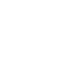 Document Verification Icon