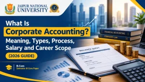 Corporate accounting guide: accountant reviewing company balance sheet and financial statements on laptop - JNU Jaipur Online